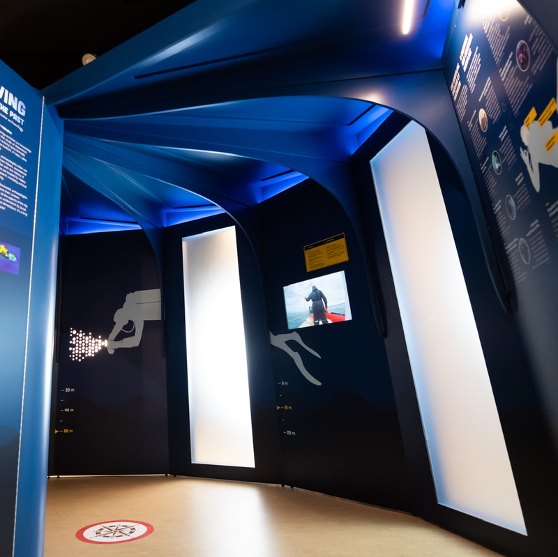 «Plongez», Archéomusée Roussillon (itinérante)