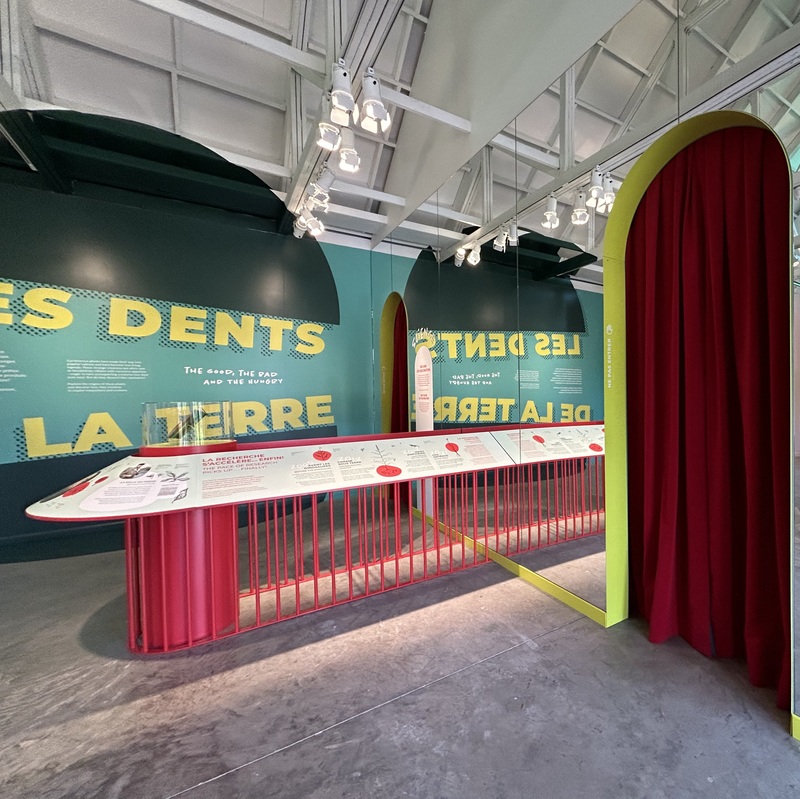 Parc Marie-Victorin, Kingsey Falls, QC